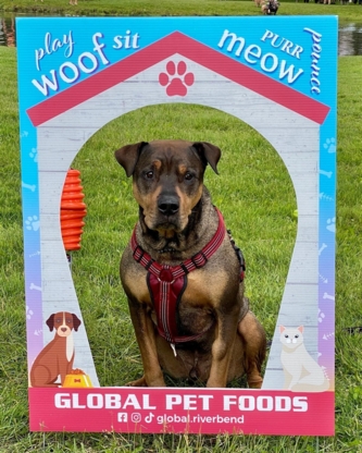 Global Pet Foods - Magasins d'accessoires et de nourriture pour animaux