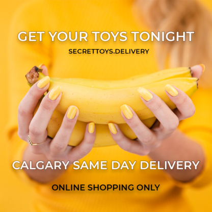 Secret Toys Delivery - Adult Entertainment