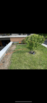 Monarch Landscaping - Lawn Maintenance