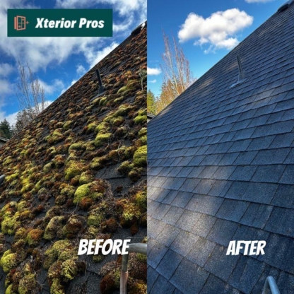 Xterior Pros - Roof Moss Removal, Gutter and Window Cleaning - Eavestroughing & Gutters