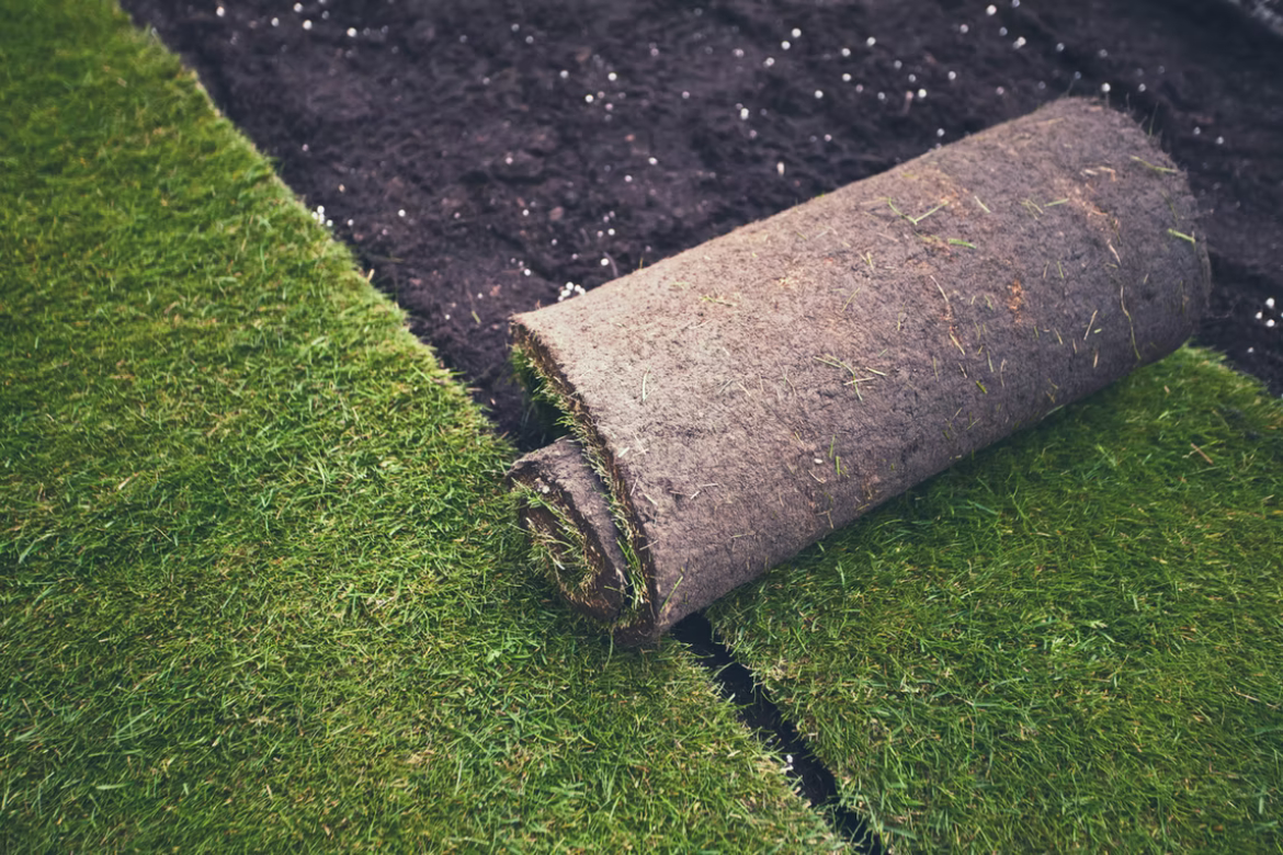 Calgary Level Up Landscaping Inc. - Lawn Maintenance