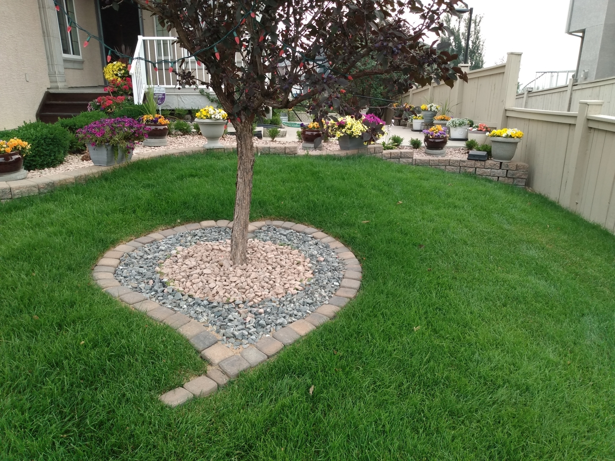 Cal-Arbor Landscaping, Snow + Ice Removal - Landscape Contractors & Designers