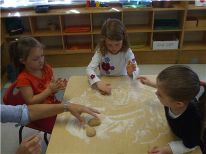 Bayside Montessori Inc - Kindergartens & Pre-school Nurseries