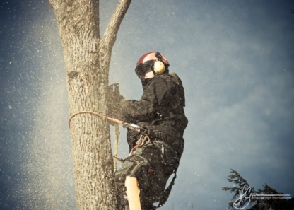 Wildwood Tree Services - Service d'entretien d'arbres