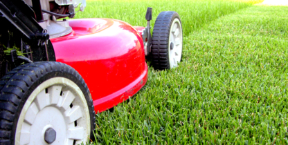 Lil Broke Grass Cutting & Snow Removal - Lawn Maintenance