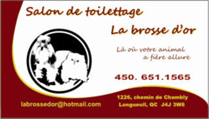 Toilettage Tonte Danimaux Domestiques à Montreal Qc