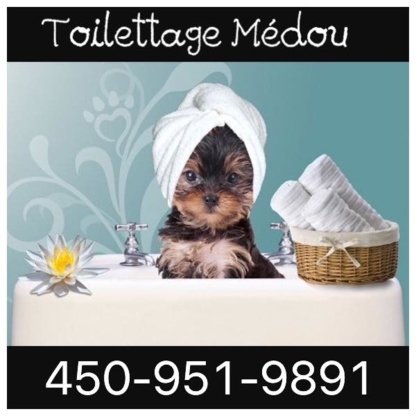 Toilettage Médou - Toilettage et tonte d'animaux domestiques