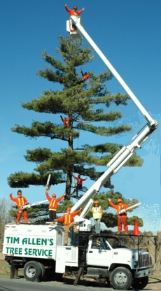 Tim Allen's Tree Service - Service d'entretien d'arbres