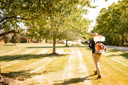 Mosquito Hero - Pest Control Services