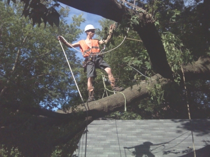 RPM Tree Services - Tree Service