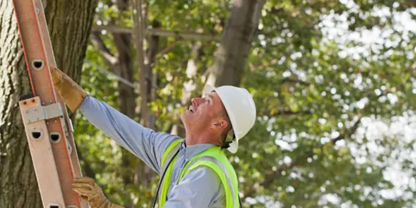 Garden City Tree Service - Service d'entretien d'arbres