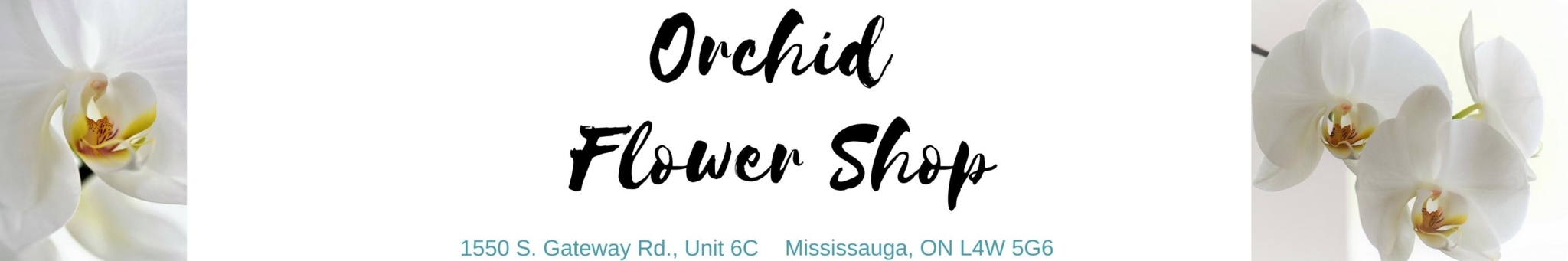 Orchid Flower Shop - Fleuristes et magasins de fleurs