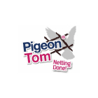 Voir le profil de Pigeon Tom - Georgetown