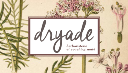 Dryade, herboristerie et coaching santé - Herboristerie et plantes médicinales