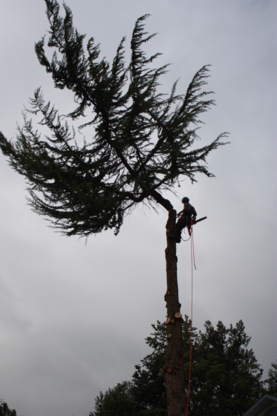 Give & Take Tree Service - Service d'entretien d'arbres