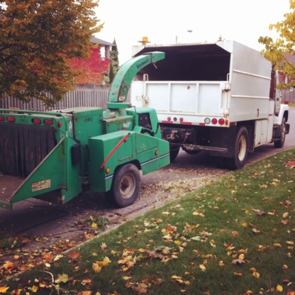 Provincial Tree Services Ltd - Landscape Contractors & Designers