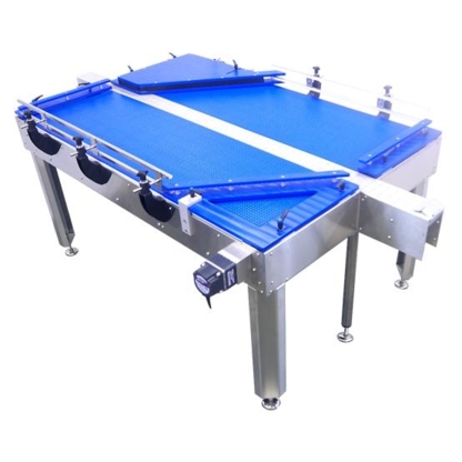 Aesus Packaging Systems, Inc - Labelling Equipment