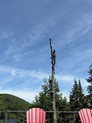 Émondage Prestige - Élagage - Service d'arbres - Tree Service