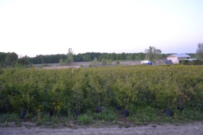 Roland et Sylvain Labelle - Nurseries & Tree Growers