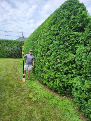 Entretien Saisonnier Maxime Provost - Lawn Maintenance