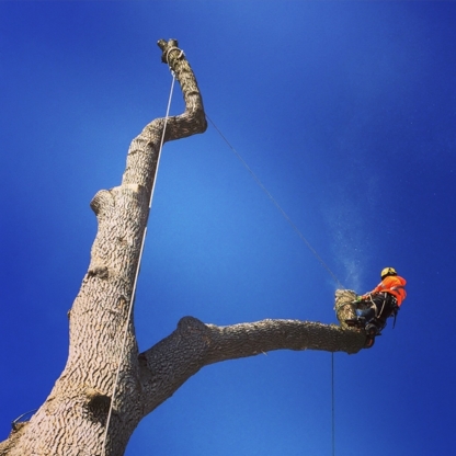 Loyal Tree Inc. - Service d'entretien d'arbres