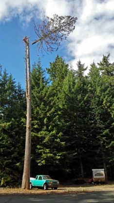 Black Tusk Tree Services - Service d'entretien d'arbres