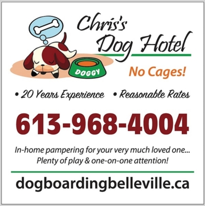 Chris's Dog Hotel No Cages Luxury Pet Resort - Pet Sitting Service