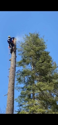 JM Arboriculture - Tree Service