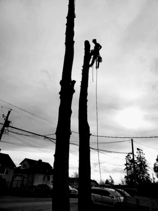 Anchor Tree Service - Service d'entretien d'arbres