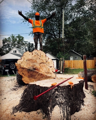 Voir le profil de MTM Tree Service - Amherstburg