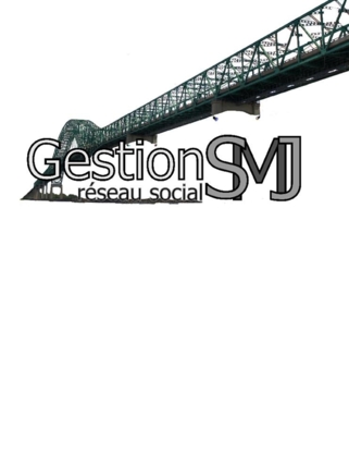 Gestion Réseau Social SMJ - Advertising Agencies