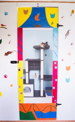 Halifax Kitty Hotel - Services pour animaux de compagnie