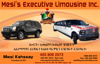 Executive Limousine Inc - Limousine Service