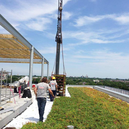 L'Entreprise Générale Paysagiste Riccardi - Landscape Contractors & Designers