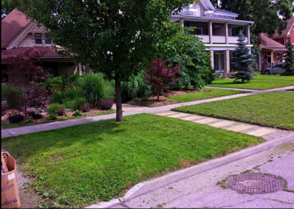 Lawn Wise - Property Maintenance