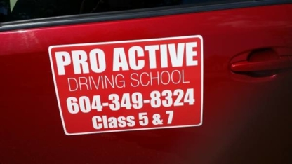 A Proactive Driving School - Driving Instruction