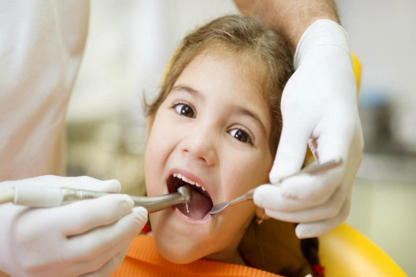 Hintonburg Dental Hygiene - Dental Hygienists