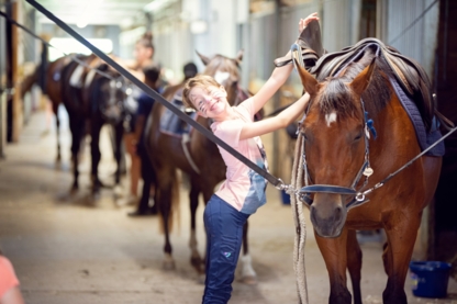 Wynbrook Equestrian Centre - Riding Academies
