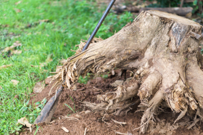 Beaver Tree Service Inc. - Service d'entretien d'arbres