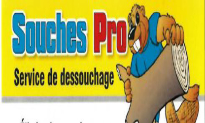 Souches Pro - Firewood Suppliers