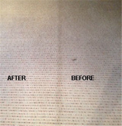 AF Pro Carpet Cleaning - Nettoyage de tapis et carpettes