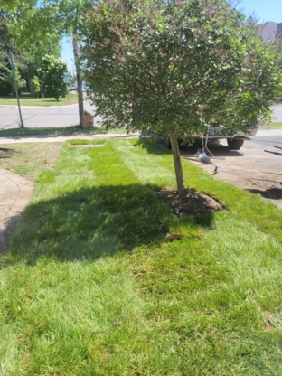 Greener Land - Landscape Contractors & Designers