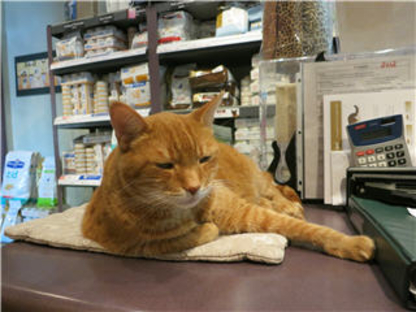 View Guelph Cat Clinic’s Carlisle profile