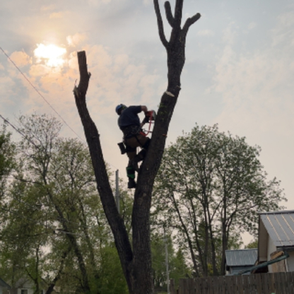 Prairie Timber Tree Works - Tree Service