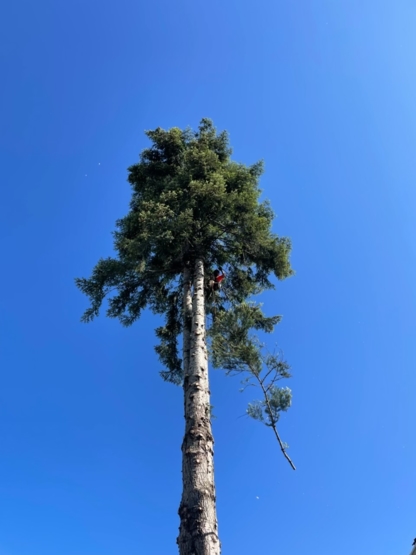 Timberwolf Tree Service - Service d'entretien d'arbres