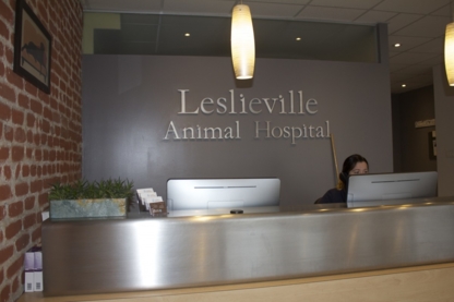 Leslieville Animal Hospital - Veterinarians