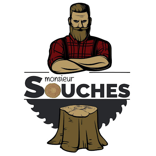 Monsieur souches-entreprise d'essouchement-broyage de souches - Tree Service