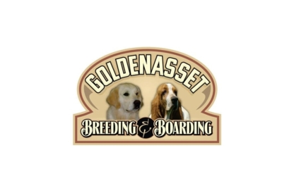Golden Asset Kennels - Dog Breeders
