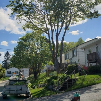 Harbour City Tree Trimming - Tree Service