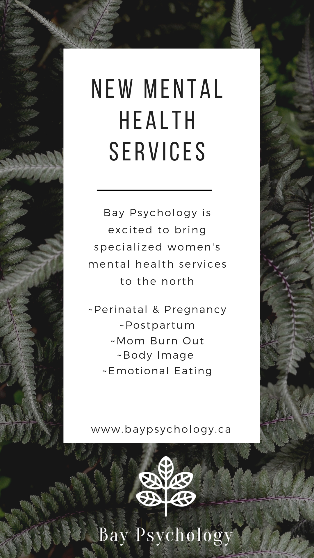 Bay Psychology Opening Hours 176 Lakeshore Dr, North Bay, ON